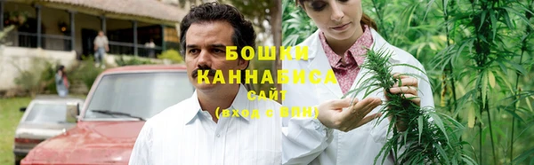 ПСИЛОЦИБИНОВЫЕ ГРИБЫ Аркадак