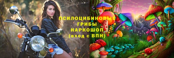 ПСИЛОЦИБИНОВЫЕ ГРИБЫ Аркадак