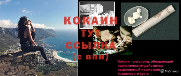 ПСИЛОЦИБИНОВЫЕ ГРИБЫ Аркадак