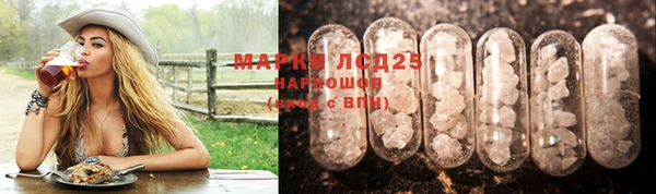 ПСИЛОЦИБИНОВЫЕ ГРИБЫ Аркадак