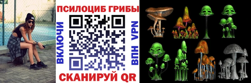 Псилоцибиновые грибы прущие грибы  Ветлуга 